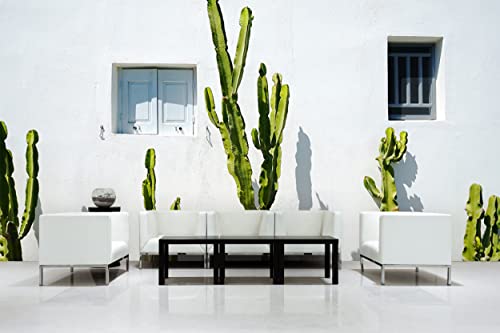 Glücksvilla - Fototapete, selbstklebend (600 x 250 cm BxH) - div. Maße - Vlies-Tapete - Wand-Deko - Kakteen vor weißer Wand - mediterrane Fotografie Kaktus Garten-Pflanze Natur x von Glücksvilla