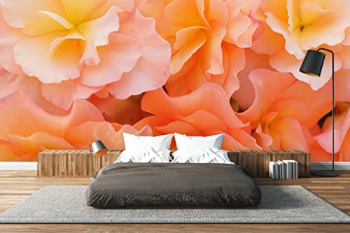 Glücksvilla - Fototapete, selbstklebend (600 x 250 cm BxH) - div. Maße - Vlies-Tapete XXL Wand-Deko - Rosen-Blüte Rosentraum 5 - florale Fotografie Blume Garten-Pflanze Natur Botanik x von Glücksvilla