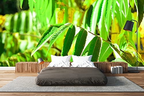 Glücksvilla - Fototapete, selbstklebend (600 x 250 cm BxH) - div. Maße - Vlies-Tapete XXL moderne Wand-Deko - Buntes Herbstlaub 3 - Fotografie Garten-Pflanzen Baum Herbst Blätter Natur von Glücksvilla
