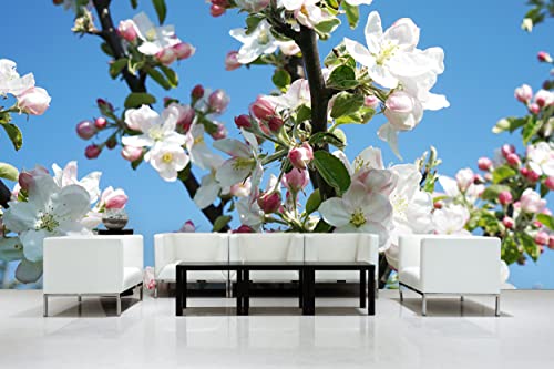 Glücksvilla - Fototapete, selbstklebend (600 x 300 cm (BxH) - div. Maße - Vlies-Tapete - Wand-Deko - Apfelblüten-Frühling 1 - Natur Botanik Apfel-Baum Garten Blume Blüte Fotografie x von Glücksvilla