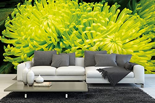 Glücksvilla - Fototapete, selbstklebend (600 x 300 cm (BxH) - div. Maße - Vlies-Tapete - Wand-Deko - Pflanzenwelten - Urwald Blume Blüte Natur Garten Botanik gelb grün x von Glücksvilla