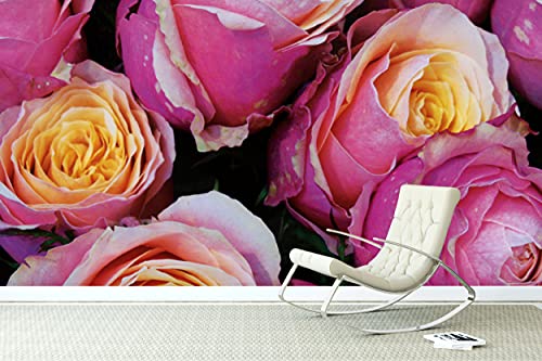 Glücksvilla - Fototapete, selbstklebend (600 x 300 cm (BxH) - div. Maße - Vlies-Tapete XXL Wand-Deko - Rosentraum - Rose Blume Blüte Natur Garten Botanik rosa rot Fotografie x von Glücksvilla