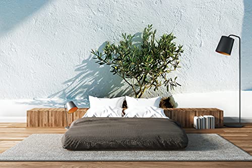 Glücksvilla - Fototapete, selbstklebend (600 x 300 cm (BxH) - div. Maße - Vlies-Tapete XXL Wand-Deko - Weiß 3 - Griechenland Baum Pflanze Olive Bäumchen Topfpflanze Kaktus x von Glücksvilla