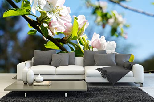 Glücksvilla - Fototapete, selbstklebend (600 x 300 cm (BxH) - div. Maße - Vlies-Tapete XXL moderne Wand-Deko - Apfelblüten-Frühling 2 - Natur Botanik Apfel-Baum Garten Blume Blüte Fotografie von Glücksvilla