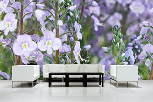 Glücksvilla - Fototapete, selbstklebend (600 x 300 cm (BxH) - div. Maße - Vlies-Tapete XXL moderne Wand-Deko - Enzian-Ehrenpreis Maihimmel - Blauer Enzian lila Blume Blüte Pflanze Garten von Glücksvilla