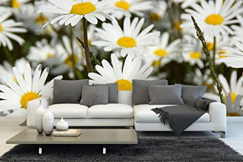 Glücksvilla - Fototapete, selbstklebend (600 x 300 cm (BxH) - div. Maße - Vlies-Tapete XXL moderne Wand-Deko - Margeriten Blüten-Traum 1 - Blume Blüte Wiese Botanik Pflanze Natur Fotografie von Glücksvilla