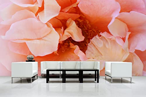 Glücksvilla - Fototapete, selbstklebend (600 x 300 cm BxH) - div. Maße - Vlies-Tapete - Wand-Deko - Rosen-Blüte Rosentraum 4 - florale Fotografie Blume Garten-Pflanze Natur Botanik x von Glücksvilla