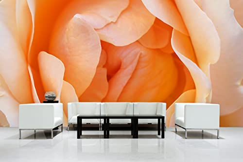 Glücksvilla - Fototapete, selbstklebend (600 x 300 cm BxH) - div. Maße - Vlies-Tapete XXL Wand-Deko - Rosen-Blüte Rosentraum 2 - florale Fotografie Blume Garten-Pflanze Natur Botanik x von Glücksvilla