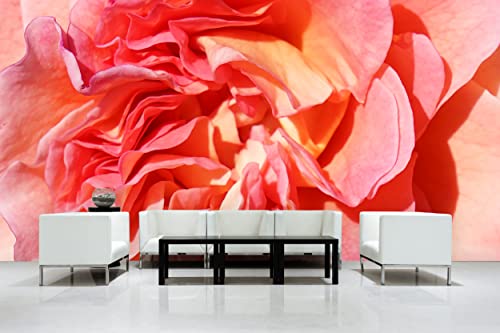 Glücksvilla - Fototapete, selbstklebend (600 x 300 cm BxH) - div. Maße - Vlies-Tapete XXL Wand-Deko - Rosen-Blüte Rosentraum 3 - florale Fotografie Blume Garten-Pflanze Natur Botanik x von Glücksvilla