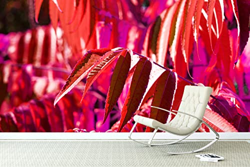 Glücksvilla - Fototapete, selbstklebend (600 x 300 cm BxH) - div. Maße - Vlies-Tapete XXL moderne Wand-Deko - Buntes Herbstlaub 4 - Fotografie Garten-Pflanzen Baum Herbst Blätter Natur von Glücksvilla