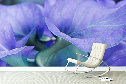 Glücksvilla - Fototapete, selbstklebend (600 x 300 cm BxH) - div. Maße - Vlies-Tapete XXL moderne Wand-Deko - Calla-Blüten Romantik 2 - florale Fotografie Garten-Pflanzen Blumen Natur von Glücksvilla