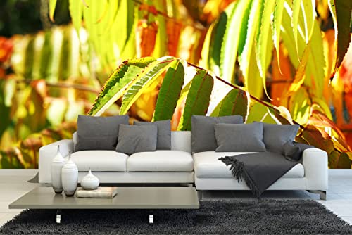 Glücksvilla - Fototapete, selbstklebend (600 x 300 cm BxH) - div. Maße - Vlies-Tapete - moderne Wand-Deko - Buntes Herbstlaub - Fotografie Garten-Pflanzen Baum Herbst Blätter Natur von Glücksvilla
