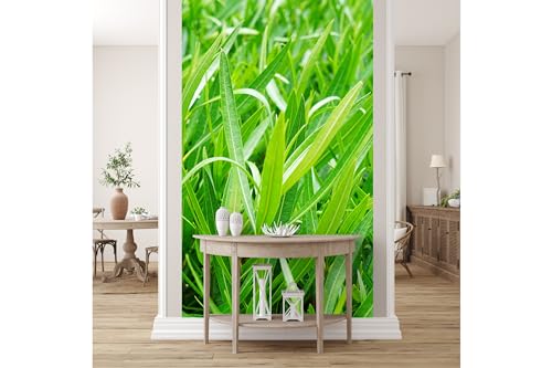 Glücksvilla - Fototapete, selbstklebend 120 x 250 cm (BxH) - div. Maße - Vlies-Tapete XXL moderne Wand-Deko - Hainsimse-Wiese - Fotografie Gras Blätter Wildnis Jungle Urwald Natur von Glücksvilla