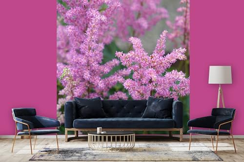 Glücksvilla - Fototapete, selbstklebend 240 x 250 cm (BxH) - div. Maße - Vlies-Tapete - moderne Wand-Deko - Garten-Prachtspiere - Blumen Blüten Natur Garten Botanik Fotografie von Glücksvilla