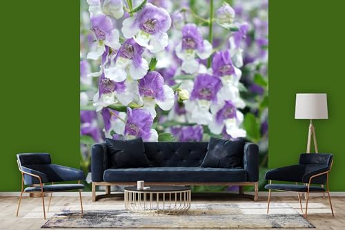 Glücksvilla - Fototapete, selbstklebend 240 x 300 cm (BxH) - div. Maße - Vlies-Tapete - moderne Wand-Deko - Engelsflügel-Blüten - Blumen Natur Garten Botanik Fotografie von Glücksvilla