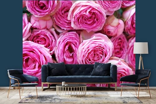 Glücksvilla - Fototapete, selbstklebend 360 x 250 cm (BxH) - div. Maße - Vlies-Tapete XXL moderne Wand-Deko - Rosen-Blüte Rosentraum 6 - Blumen Natur Garten Botanik Fotografie von Glücksvilla