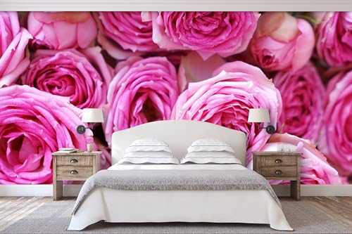 Glücksvilla - Fototapete, selbstklebend 600 x 250 cm (BxH) - div. Maße - Vlies-Tapete XXL moderne Wand-Deko - Rosen-Blüte Rosentraum 6 - Blumen Natur Garten Botanik Fotografie von Glücksvilla