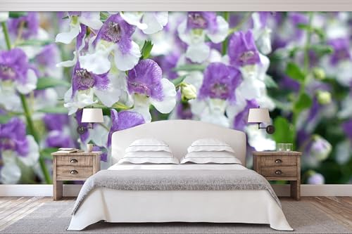 Glücksvilla - Fototapete, selbstklebend 600 x 300 cm (BxH) - div. Maße - Vlies-Tapete - moderne Wand-Deko - Engelsflügel-Blüten - Blumen Natur Garten Botanik Fotografie von Glücksvilla