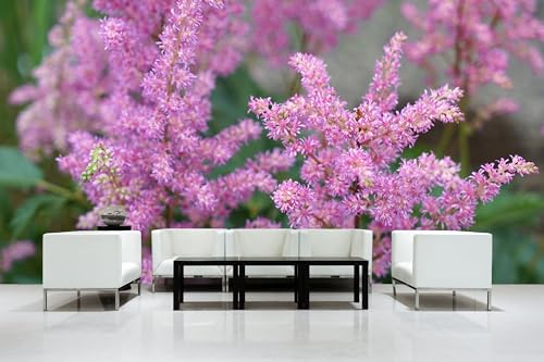 Glücksvilla - Fototapete, selbstklebend 600 x 300 cm (BxH) - div. Maße - Vlies-Tapete - moderne Wand-Deko - Garten-Prachtspiere - Blumen Blüten Natur Garten Botanik Fotografie von Glücksvilla