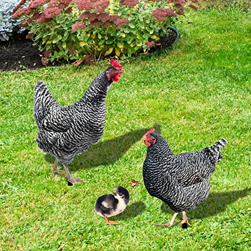 Glücksvogel Huhn Familie Gartenstecker Gartenfigur Gartendeko Familie 3er Set Handarbeit Gartenstatue Dekorative Henne Gartenstecker Dekofigur Garten Figur Terrasse Statue Balkon Wohnzimmer Deko von Glücksvogel