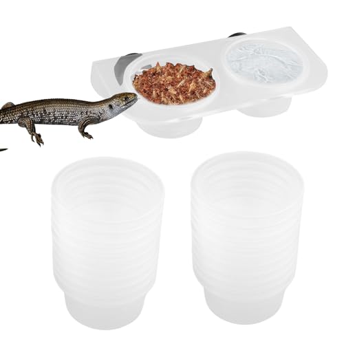 Futterspender für Chamäleon, Futterschale für Eidechsen mit magnetischer Halterung – leicht zu reinigender Behälter für Chamäleon, Schildkröte, Drache, Bart, Krabbe, Terrarium von Glugahrif