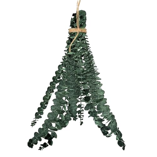 Glugahrif 10 St Dusch-Eukalyptus Zum Aufhängen, Dusch Eukalyptus Zum Aufhängen Echte Getrocknete Eukalyptus Duschbündel Badezimmer Echter Eukalyptus Eukalyptuszweige von Glugahrif