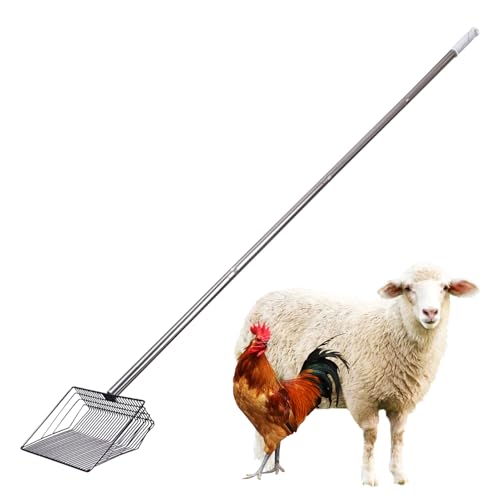 Hühnerkot Schaufel,Metall Hühnerstall Einstreu Schaufel - Wartung Von Geflügel Und Haustieren Kleintier Mist Sieb Werkzeug Hühnerkot Schaufel,Metall Hühnerstall Einstreu Schaufel - Wartung Von Geflügel Und Haustieren Kleintier Mist Sieb Werkzeug von Glugahrif