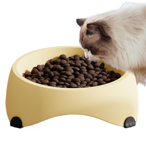 Katzennapf,Futternäpfe Für Hauskatzen - Anti-Erbrechen Schräge rutschfeste Schale, Leckerli-Spender & Wassernapf Für Innen- und Außenbereich von Glugahrif