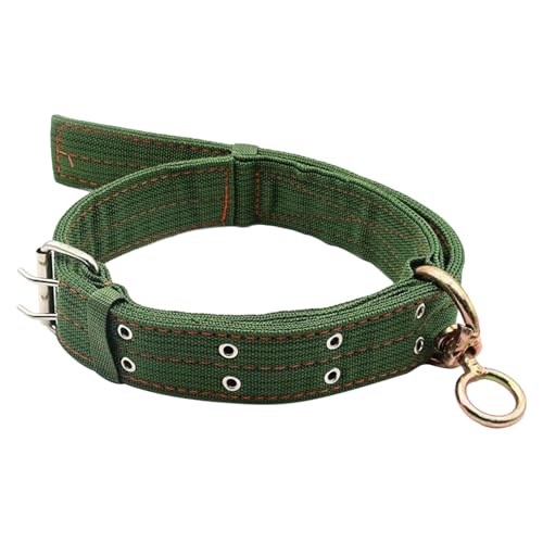 Ziegenhalsband | verstellbares Halsband für Nutztiere | Zugausrüstung für kleine, Ziegen | für Weide, Dressur, Zucht und Transport Ziegenhalsband | verstellbares Halsband für Nutztiere | Zugausrüstung für kleine, Ziegen | für Weide, Dressur, Zucht und Transport von Glugahrif