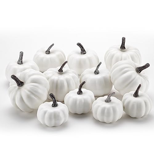 GlyinnHe 12 Stück weiße künstliche Kürbisse, verschiedene Größen, rustikale Ernte, lebensechter Kürbis aus Schaumstoff, für Halloween, Herbst, Erntedankfest, Dekoration, Ernte, Verschönern und von GlyinnHe