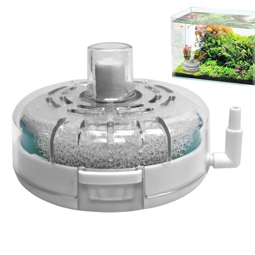Gmokluytw Mini Aquarium Filter – Ultra-dünner Rundfilter Für Fischtanks | Filter Mit Luftstein Und | Aerator Für Süßwasser Und Meerwasser | Garnèlen Schildkröten Teich Terrarium Pflege Zubehör Gmokluytw Mini Aquarium Filter – Ultra-dünner Rundfilter Für Fischtanks | Filter Mit Luftstein Und | Aerator Für Süßwasser Und Meerwasser | Garnèlen Schildkröten Teich Terrarium Pflege Zubehör von Gmokluytw