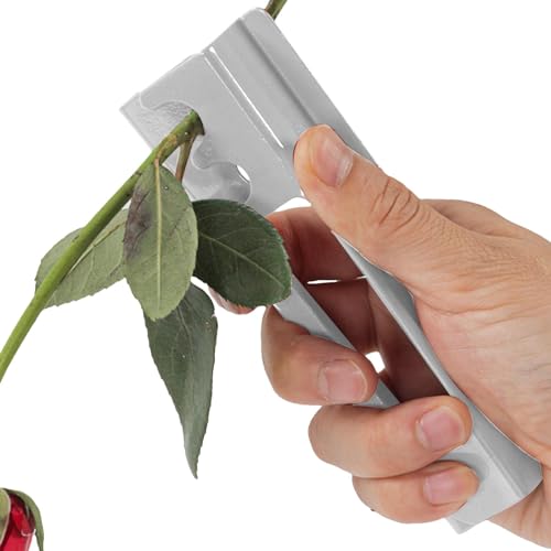 Gmokluytw Rosendornen-Stripper-Werkzeug, Rosenreiniger-Dornenentferner-Set, Blumenstielschneider-Gartenwerkzeug, Rosendornen-Stripper-Set Für Hausgarten-Floristen-Blumenarrangements Gmokluytw Rosendornen-Stripper-Werkzeug, Rosenreiniger-Dornenentferner-Set, Blumenstielschneider-Gartenwerkzeug, Rosendornen-Stripper-Set Für Hausgarten-Floristen-Blumenarrangements von Gmokluytw