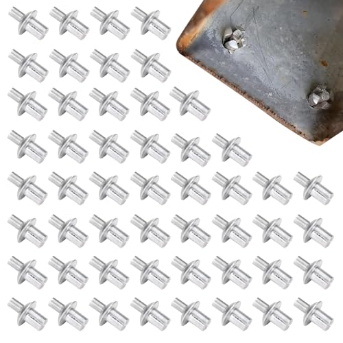 Runde Kopfnieten - Blinde Aluminiumnieten - Percussion Expansion Fixierungen für Metall, Holz, Elektronik, Widerstandslegierung, einfache Installation, Silberfarbe, 50 oder 100 Stück Runde Kopfnieten - Blinde Aluminiumnieten - Percussion Expansion Fixierungen für Metall, Holz, Elektronik, Widerstandslegierung, einfache Installation, Silberfarbe, 50 oder 100 Stück von Gmokluytw