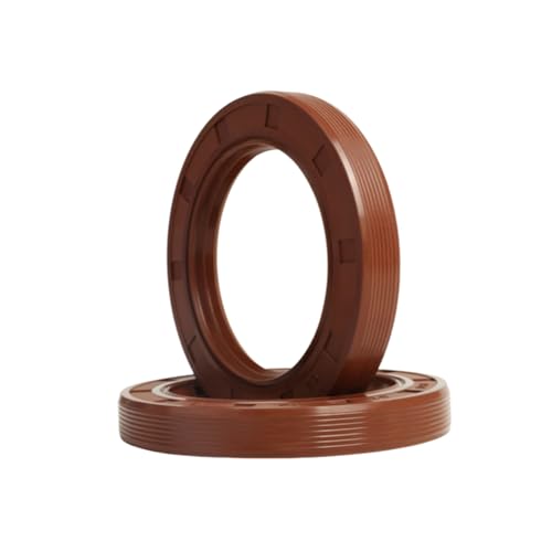 2 Stück Innendurchmesser 10mm hochtemperaturbeständige TC-Öldichtungen aus Fluorkautschuk für rotierende Wellen, Außendurchmesser 32mm, Höhe 10mm, 10x32x10mm von Gnmshzy