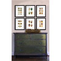 Vogel-Eier-Wand-Dekor-Set Von 6 Ungerahmte Kunstdrucke Für Große Frühling-Ostern-Esszimmer-Wand-Dekor von GnosisPictureArchive