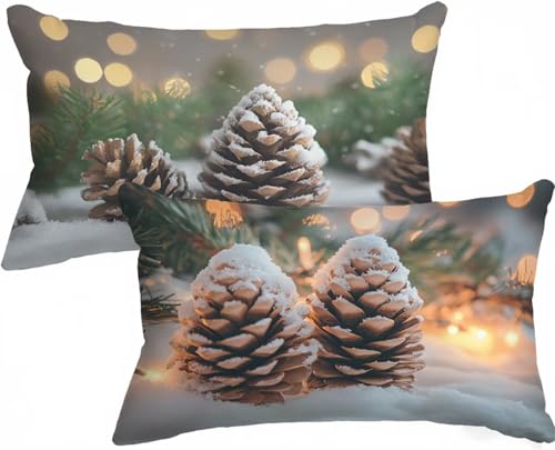 Kissenbezug 40 x 80 Kopfkissenbezug 40x80 2er Set, Outdoor Kissen Schneeflocke Dekokissen Tannenzapfen Samt HD Drucken Sofakissen mit Verstecktem Reißverschluss für Sofa Wohnzimmer Schlafzimmer X-425 von Gnulguxo