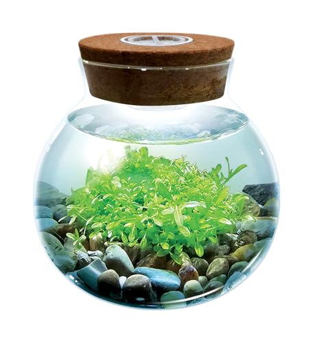 WaterPlants: Erstellen Sie Ihr eigenes üppiges und beruhigendes Aquasacape-Terrarium-Starter-Set, Zimmerpflanzen-Glaskugel-Terrarien mit leistungsstarken 3 LED-Leuchten und komplettem Zubehör, einfach von Go bravely