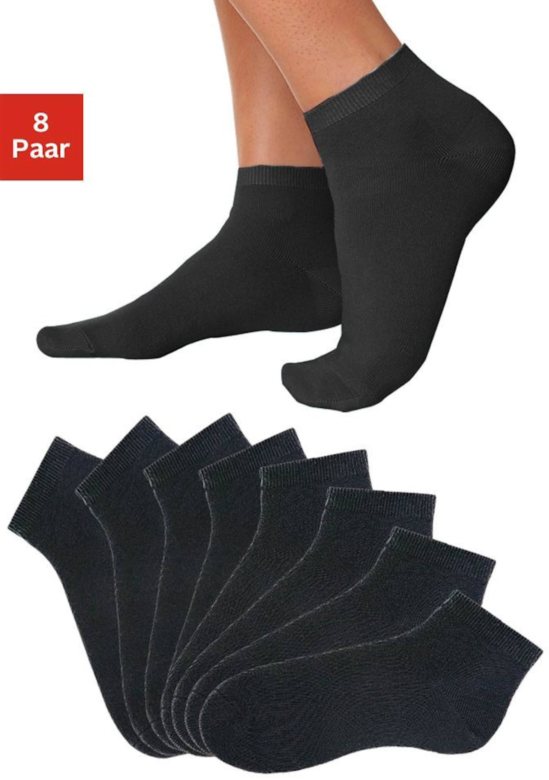 Kurzsocken in 8x schwarz von Go in von Go in