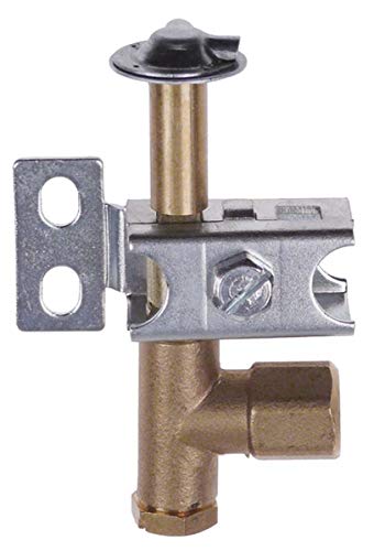 Zündbrenner PRO-GAS Typ Serie 100 Düse ø 0,2 mm (2-flammig) von Go