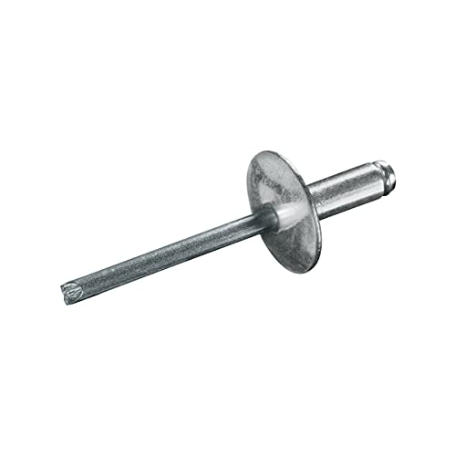 GOEBEL® - 500 x Blindnieten Stahl (Ø x L) 3,2 x 8,0 mm mit Großkopf - Großkopf Niete - Popniete - STANDARD von Goebel