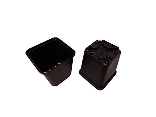 Göttinger 30x Vierecktopf 8x8x8,5 cm von Göttinger