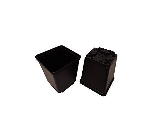 Göttinger 50x Vierecktopf 7x7x8 cm von Göttinger
