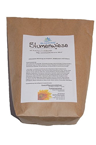 Blumenwiese mit Kräutern & Wildblumen 2kg Blumenmischung Blühmischung von BLÜHKING® von Götz Pflanzenzubehör