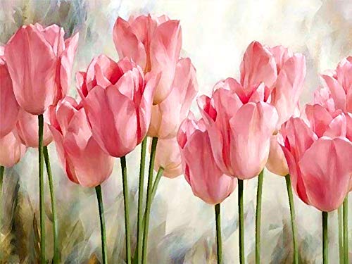 Gofission Malen nach Zahlen für Erwachsene Kinder Rosa Blumen Tulpe DIY Ölgemälde 40x50 cm Paint by Numbers von Gofission