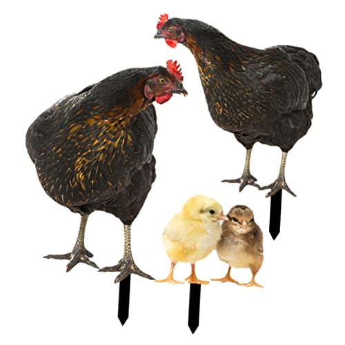 Gogogmee 1 Satz dekorative Garteneinsätze Hühnerrasenverzierung Hühnerhöfe Kunst dekorativ Mikrolandschaftspfähle gartenfigur gartenstecker Rasendekoration dekorativer Hühnerstab Acryl von Gogogmee