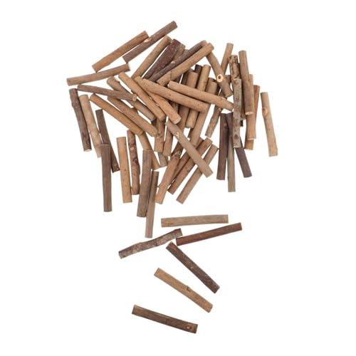Gogogmee 100 Stück Natürliche Holzstäbchen Kleine Zweige Robust für DIY Basteln Rustikaler Stil Dekoration Foto Requisiten Vase Füller für Kreative Wohnaccessoires von Gogogmee