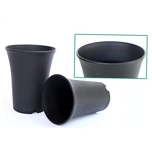 Gogogmee 10stücke Blumentopf Für Sukkulenten Pflanzen Kunststoff Töpfe Runde Form Extra Klein Mit Ausgehöhltem Boden Für Bessere Belüftung Geeignet Für Balkon Büro Und Möbeldekoration Gogogmee 10stücke Blumentopf Für Sukkulenten Pflanzen Kunststoff Töpfe Runde Form Extra Klein Mit Ausgehöhltem Boden Für Bessere Belüftung Geeignet Für Balkon Büro Und Möbeldekoration von Gogogmee