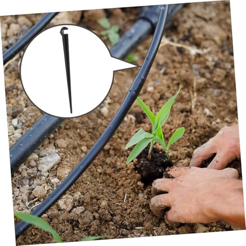 Gogogmee 50 Stück Bewässerungsstützstangen aus Robustem Abs Erdspieße für Tropfbewässerungssysteme Vielseitig Einsetzbar für Garten Gewächshaus und Ackerland Einfache Installation ohne Gogogmee 50 Stück Bewässerungsstützstangen aus Robustem Abs Erdspieße für Tropfbewässerungssysteme Vielseitig Einsetzbar für Garten Gewächshaus und Ackerland Einfache Installation ohne von Gogogmee