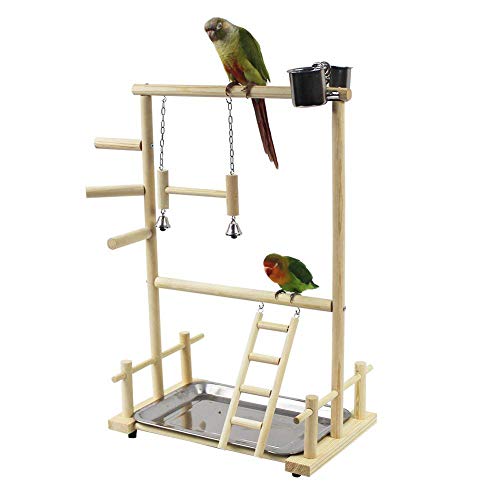 Gohhey Papagei Spielplatz Vogelspielplatz Nymphensittich Spielplatz Vogelspielzeug tragbare lustige hölzerne Parrot Playstand Sitzstangen für Vogelkäfige Gohhey Papagei Spielplatz Vogelspielplatz Nymphensittich Spielplatz Vogelspielzeug tragbare lustige hölzerne Parrot Playstand Sitzstangen für Vogelkäfige von Gohhey