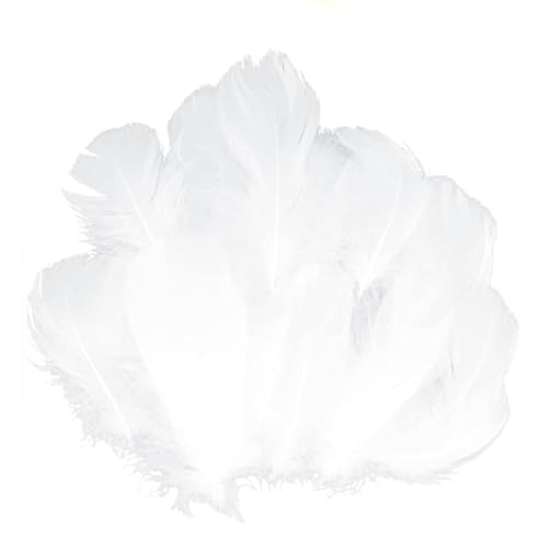 GoldRock 300 Stk Weiße Federn zum Basteln,Federn Weiss Flauschig 8-13cm,Federn Weiss Deko,Natürliche Feder,Engelsflügel zum Basteln,Federn zum Basteln Weiß für Christmas,Traumfänger,Kopfschmucksfedern GoldRock 300 Stk Weiße Federn zum Basteln,Federn Weiss Flauschig 8-13cm,Federn Weiss Deko,Natürliche Feder,Engelsflügel zum Basteln,Federn zum Basteln Weiß für Christmas,Traumfänger,Kopfschmucksfedern von GoldRock